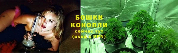 шишки Володарск