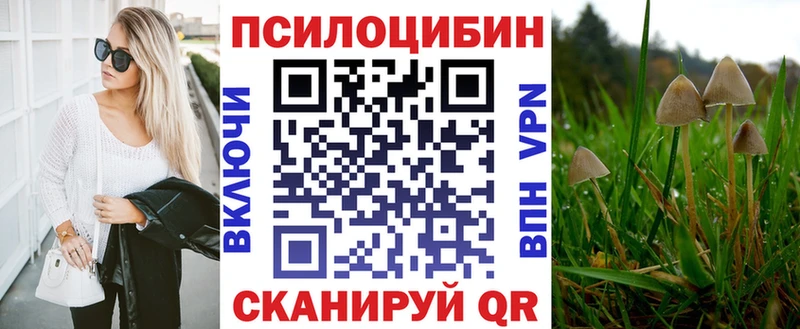 что такое   Нижний Новгород  Псилоцибиновые грибы мицелий 
