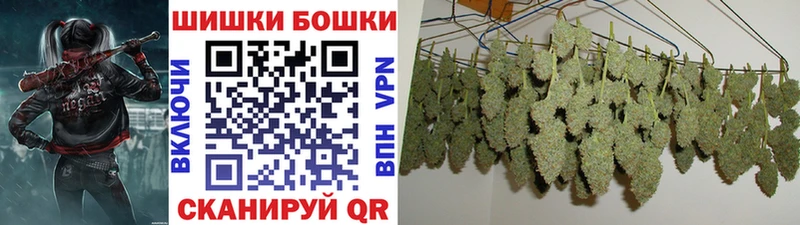 Бошки Шишки семена  Нижний Новгород 